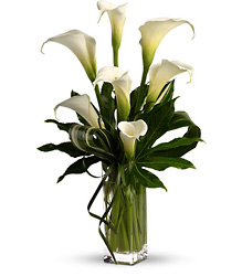 My Fair Lady by Teleflora from Schultz Florists, flower delivery in Chicago
